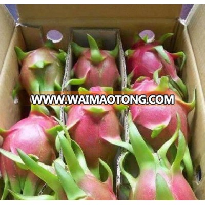 White Dragon fruit Vietnam origin grade AAA