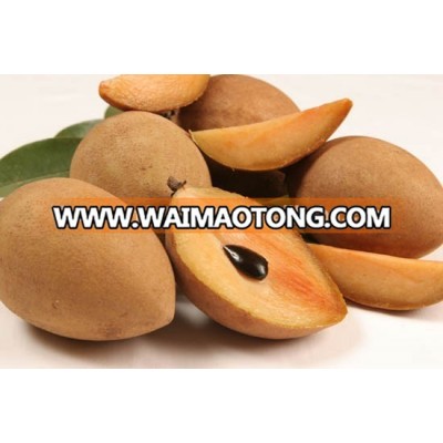 Fresh Sapodilla Vietnam origin