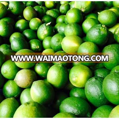 Fresh Lime grade A