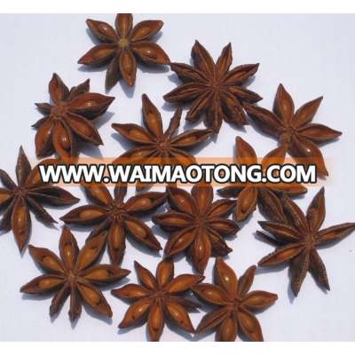 Vietnamese Star Aniseeds Autumn crop 2017