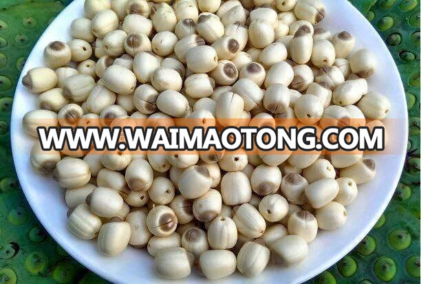 Dried Lotus Seed grade AAA, Vietnam origin